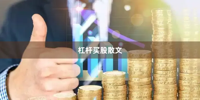 杠杆买股散文