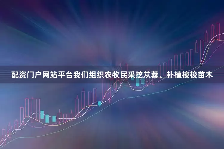配资门户网站平台我们组织农牧民采挖苁蓉、补植梭梭苗木