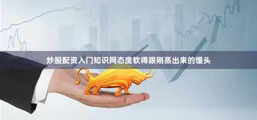 炒股配资入门知识网态度软得跟刚蒸出来的馒头