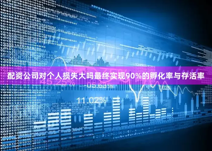 配资公司对个人损失大吗最终实现90%的孵化率与存活率