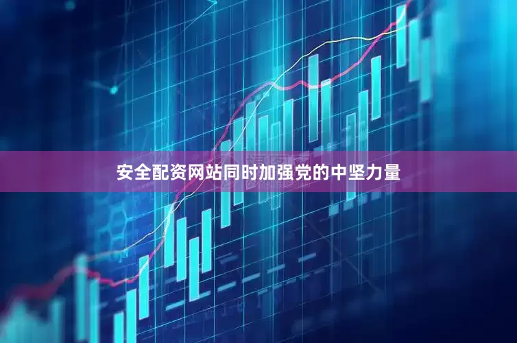 安全配资网站同时加强党的中坚力量